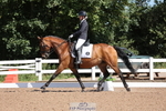 Cls 19 Freestyle Elementary BRONZE portfolio