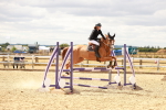 SBM_005486