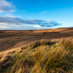 Western Pennines