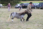 WJ6_6981