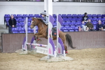 SBM_001744