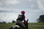 BVHT 140517  IXC -251