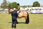 SBM_07096