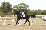 SBM_006915