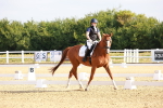 SBM_008141