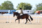 SBM_17584