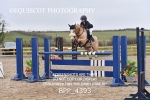 BPP_4393