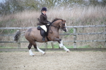 SBM_006095