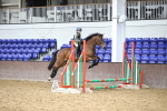 SBM_000982