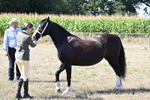 WJ6_4863