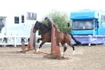 SBM_09930
