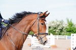 Cls 30 Snr British Novice and 90cm Open portfolio