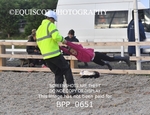 BPP_0651