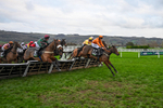 161125-Race 5-Welsh Charger-6340