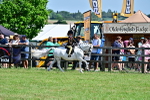 SBM_13975