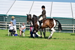 SBM_12232