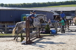 _DSC0608
