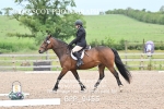 BPP_9455