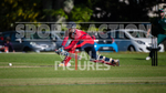 T20 Cricket_Guernsey v Jersey 2019-26