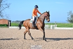 Cls 29 Premier League Freestyle Medium portfolio