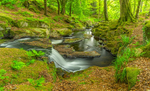 Waterfall at Sally Gap