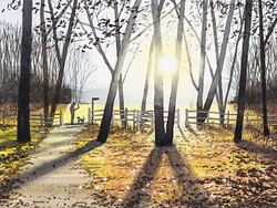 Local scenes portfolio