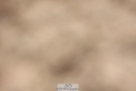 250629-172403-13706