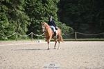 Cls 11-13 FEI PSG and Inter portfolio