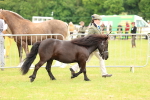 SBM_03507