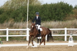 SBM_000976
