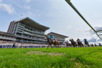 Race 1 1.30pm William Hill Keep Your Raceday Positive Handicap portfolio