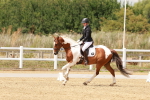 SBM_001597