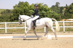 SBM_004111