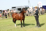 SBM_02127