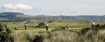 On the first green