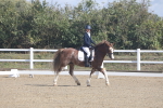 SBM_001548