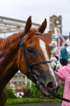 230823-Race 6-Designer-0854