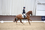 SBM_003229