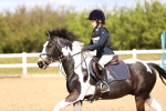 SBM_001880
