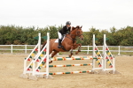 SBM_008735
