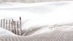 SAND FENCE IN SNOW - LONG POINT BEACH