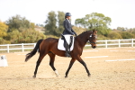 SBM_009590