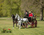 Attelage -694
