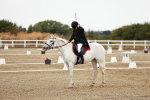 SBM_001174