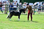 SBM_03657