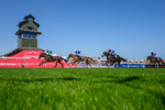 130826-Race 1-Not My Type-5233