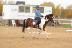 SBM_000198