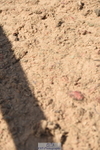 230906A-133838-00470