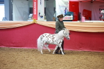 SBM_15978