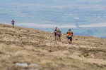 Black Combe-961